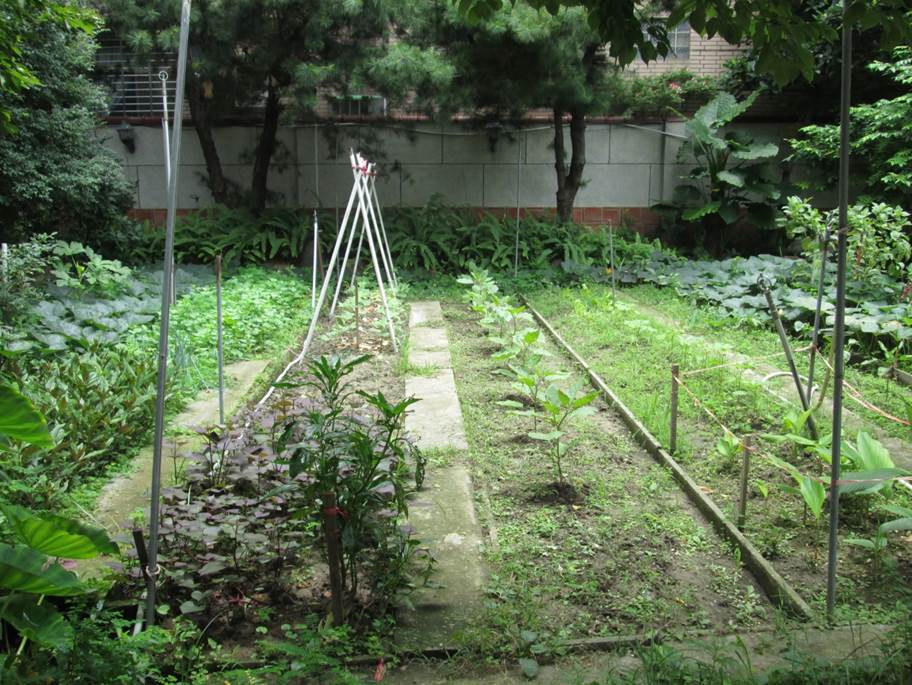菜園